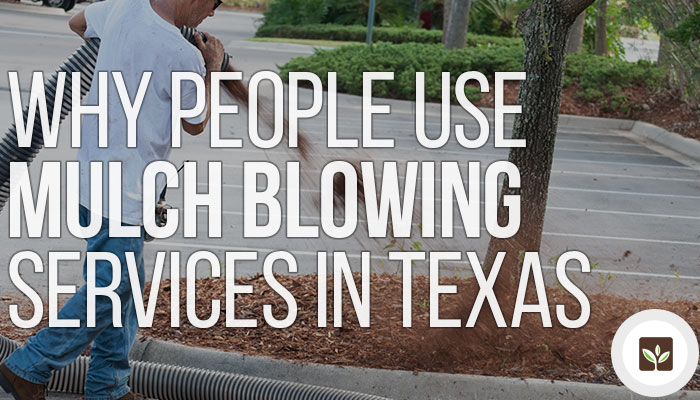 Why People Use Mulch Blowing Services in Texas - GetMulch.com Texas